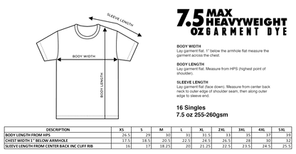 C6ZR1 T-SHIRT